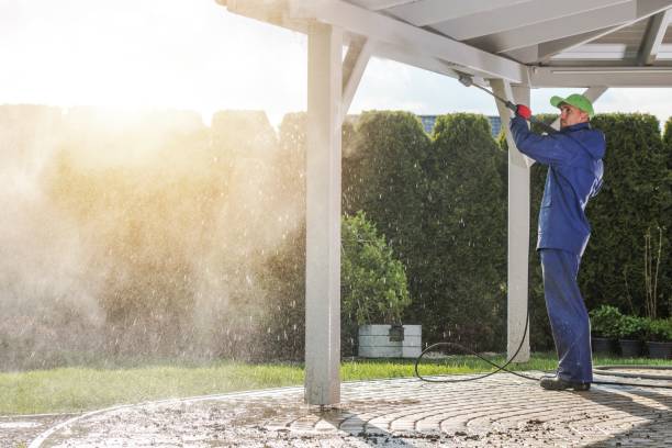 Best Pre-Holiday Cleaning  in Grayvle, IL